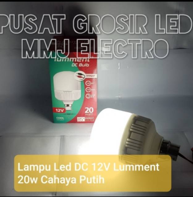 Lampu Led Lumment DC 20 Watt Aki 12V