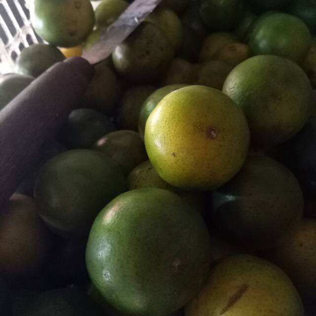 

Jeruk peras 500 gram