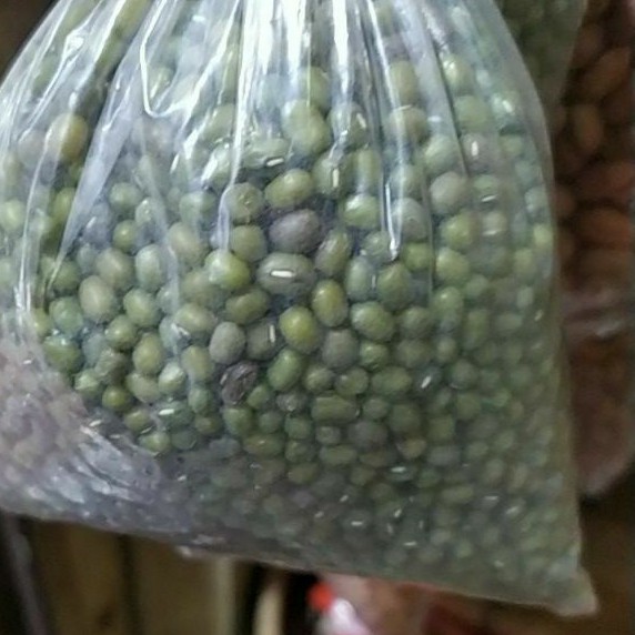 

kacang hijau 250gr