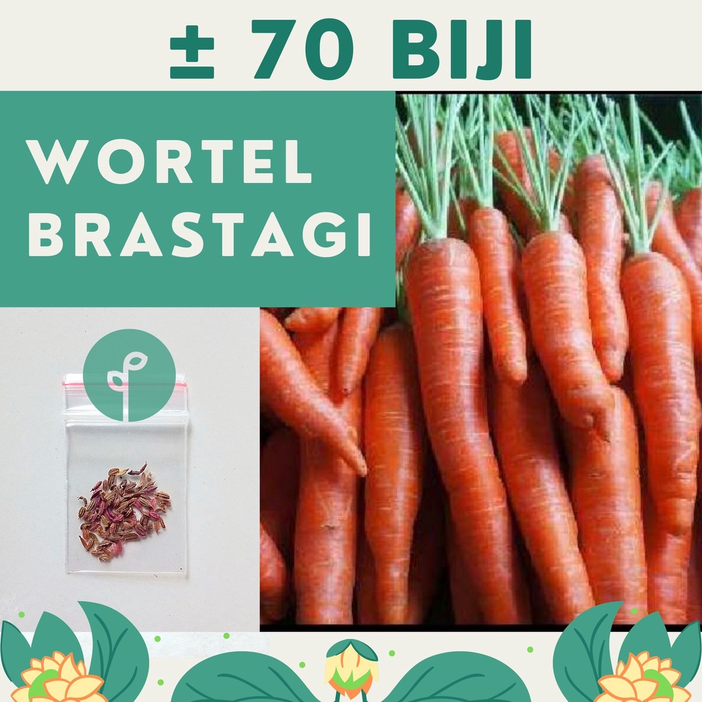 Bibit Sayuran Benih Sayur Paket Lengkap Hidroponik Kangkung Bayam Cabe Sawi Selada Terong Tomat dll-WORTEL BRASTAGI