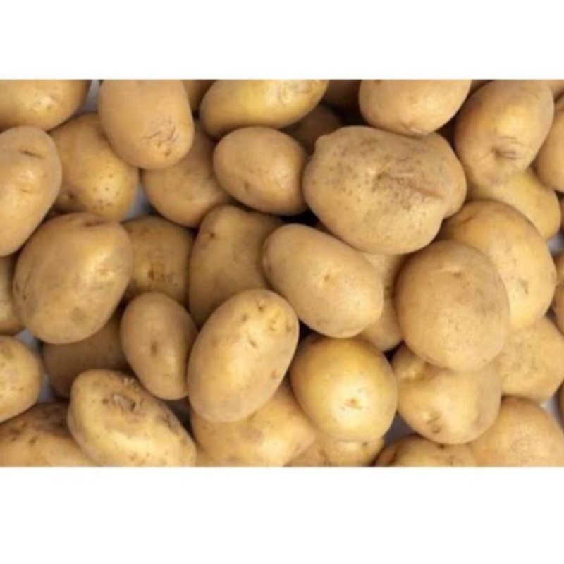 Kentang Super 1kg/Kentang Mentah