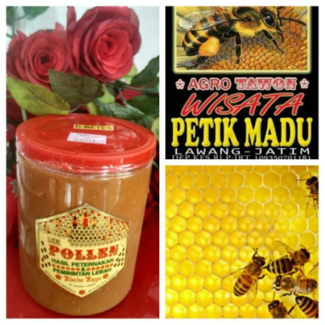

BEE POLLEN + DIABETES