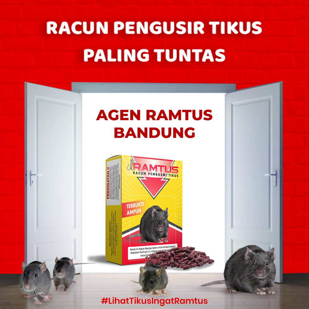 Ramtus Lem Tikus Bandung