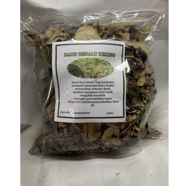 

benalu jeruk nipis kering 500 gr siap rebus
