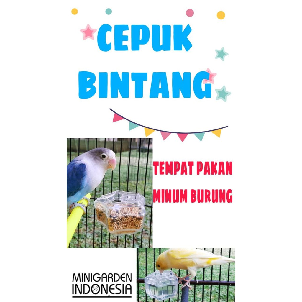 CEPUK BINTANG SEGI LIMA tempat pakan minum anti tumpah burung lovebird murai wadah milet di sangkar