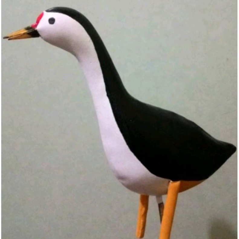 BISA COD Jontrot Burung Sawah-Burung Ruak Ruak