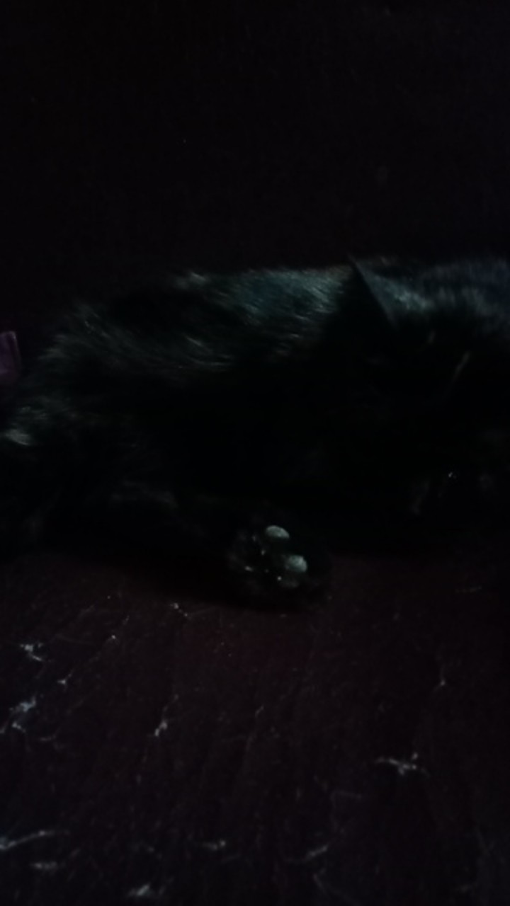 Kaligrafi Helo Kitty Pink Fanta