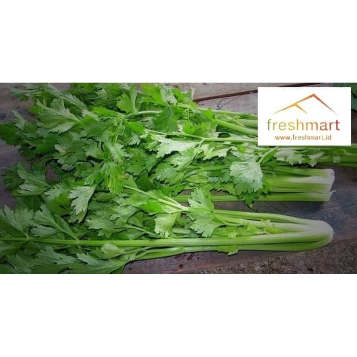

Daun Seledri Lokal 500 gram - FreshMart