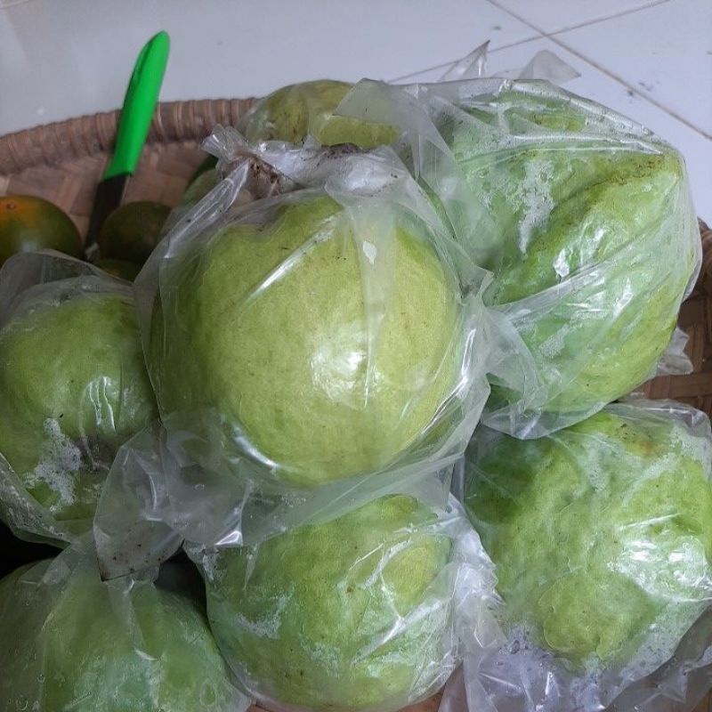 

JAMBU KRISTAL Grid A 1 Kilo Tanpa Biji Asli Kebumen