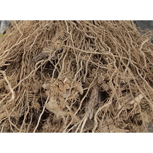 

Akar wangi kering 500gr