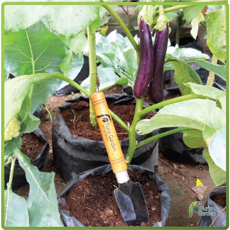 Set 2in1 Sekop dan Garu Mini Tanaman Berkebun Penggali Puriegarden PG SBY