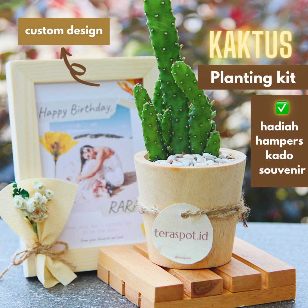 Hadiah Planting Kit Kaktus Pot kayu dengan Custom Figura / Pigura untuk Kado Hadiah Souvenir Hampers