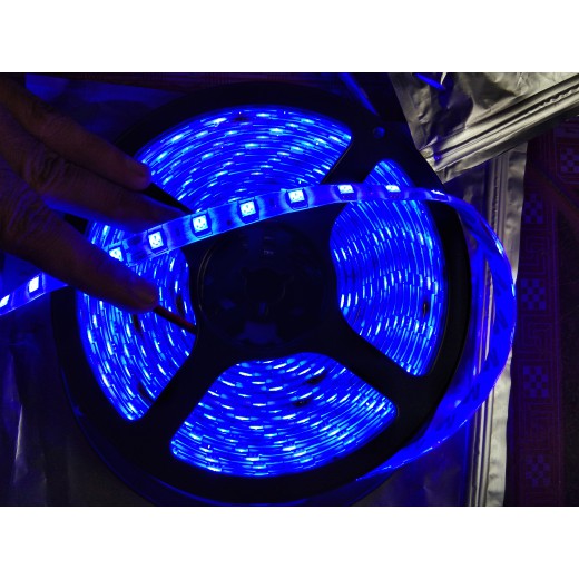 LED Roll 24 volt mata LED 5050 Strip 24volt mata Besar IP44 warna