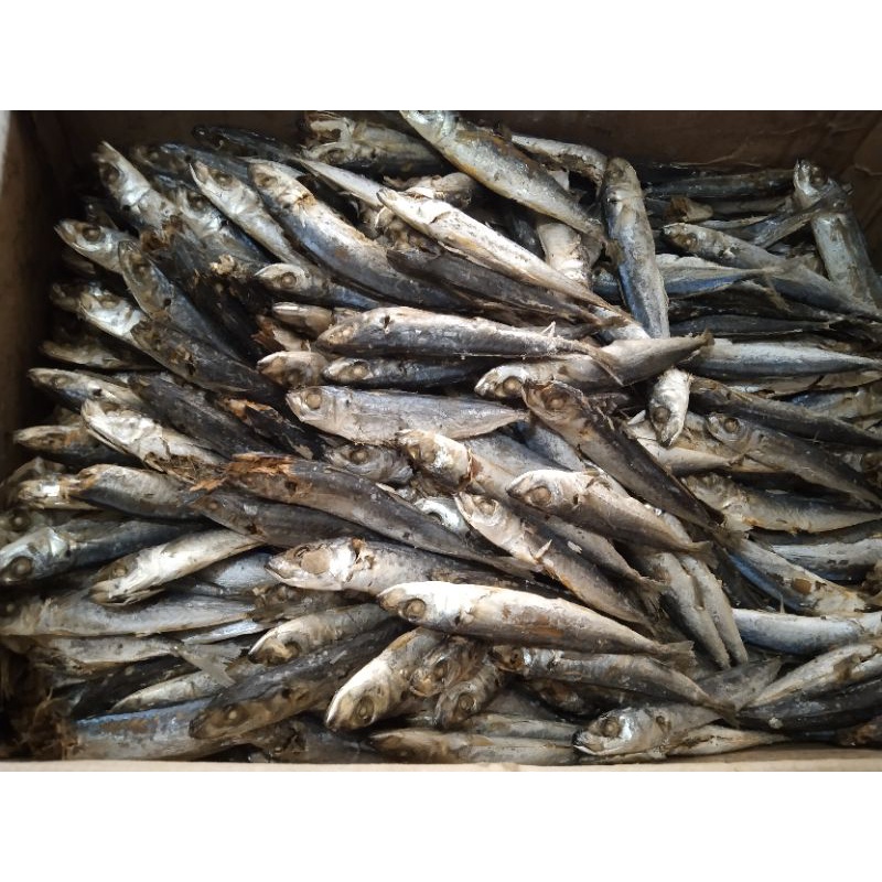 

Ikan Asin Tamban