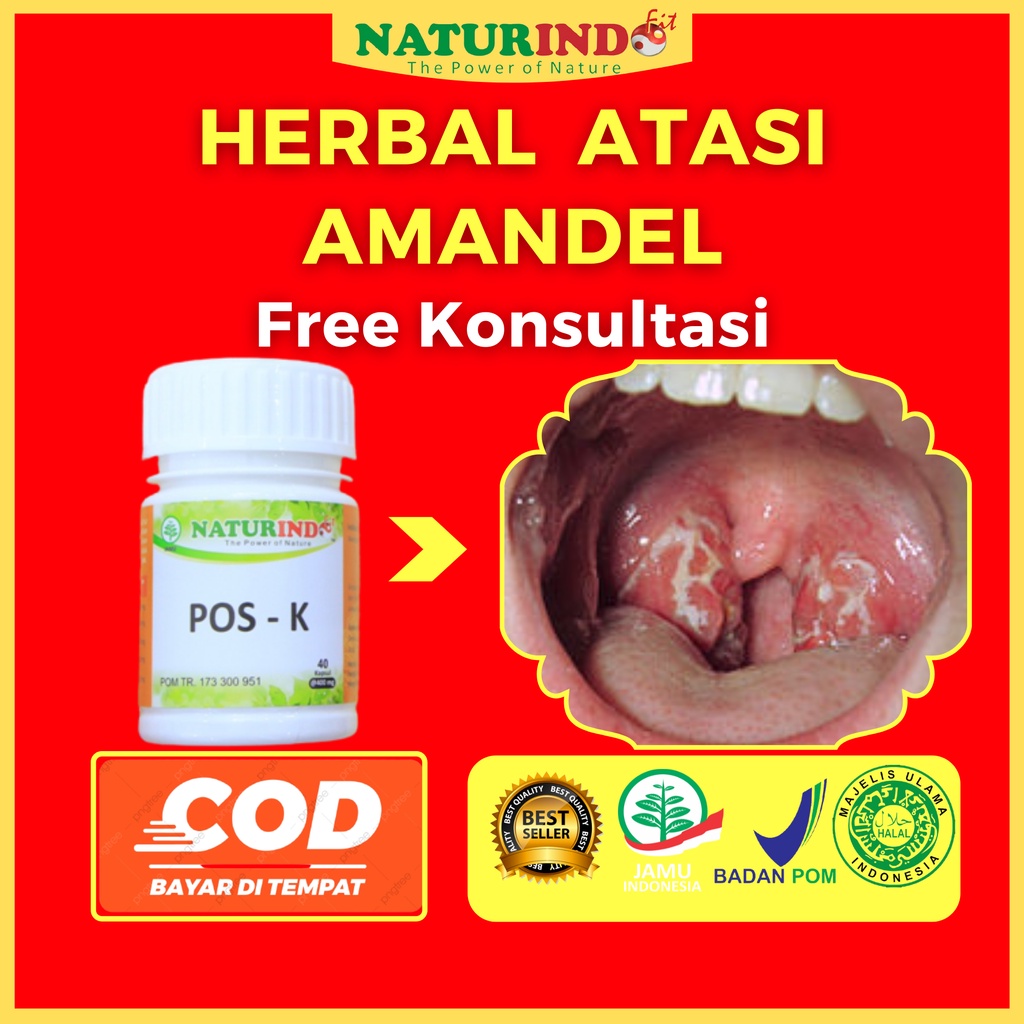 Jual Obat Amandel Paling Ampuh Pos K Naturindo Solusi Benjolan Batu