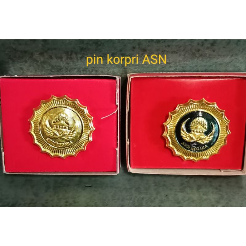 PIN KORPRI ASN