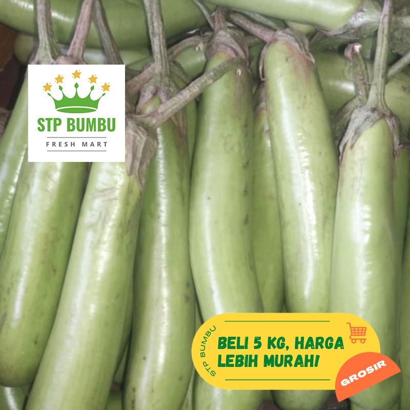 

Terong Hijau Panjang Fresh 1kg / Sayur Segar