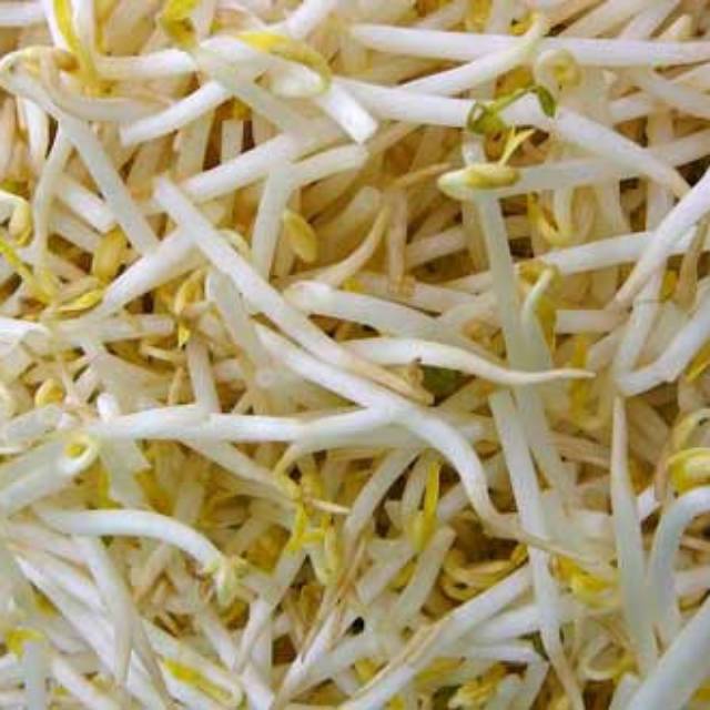 

Tauge biasa ukuran sedang (per 500gr)