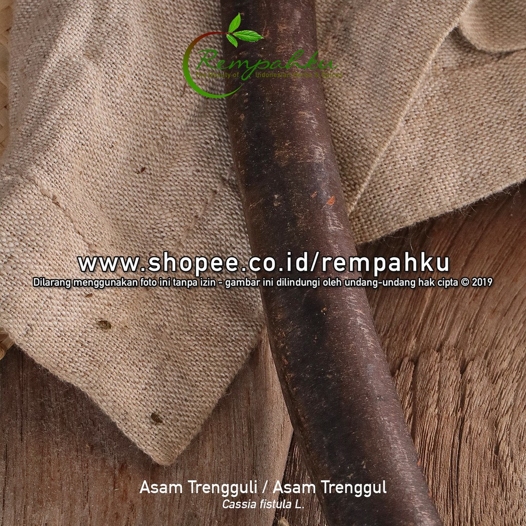 

Rempahku - Asem Trenggul Asam Trengguli 10gr Sample Rempah Kayu Raja
