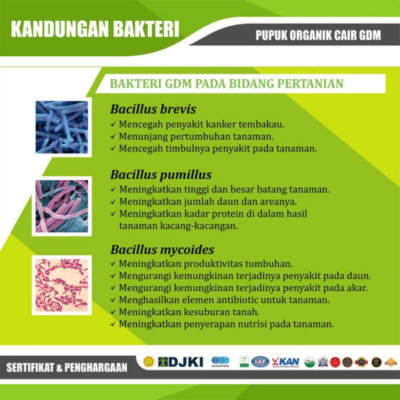 Pupuk Organik Cair GDM Nutrisi Tanaman Hias 5 Liter Original