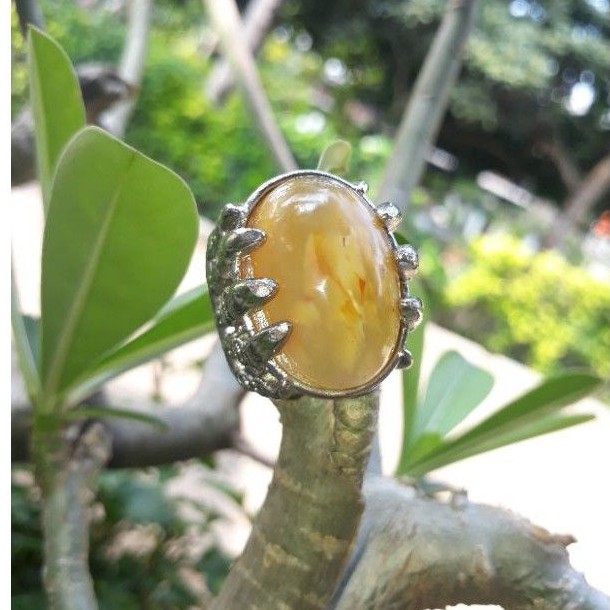 

calsidon solaimn madu pacitan