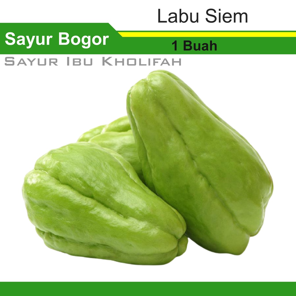 

Labu Siam Siem Hijau Segar Manisa 1bh Sayur Sayuran Segar Bogor