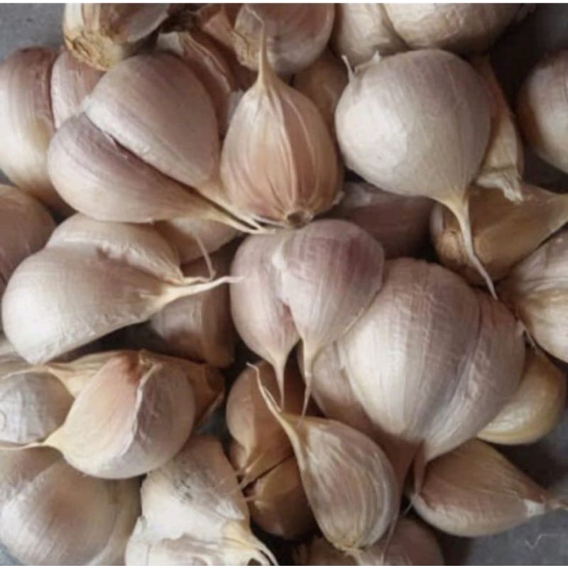 

Bawang Putih Kanting/Bawang Putih Bulat