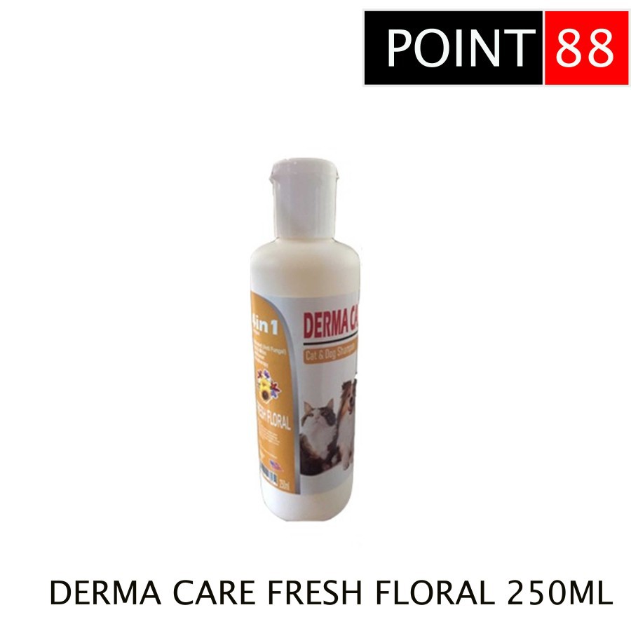 Shampoo DERMA CARE Fresh Floral 250ml Anti Jamur Kutu