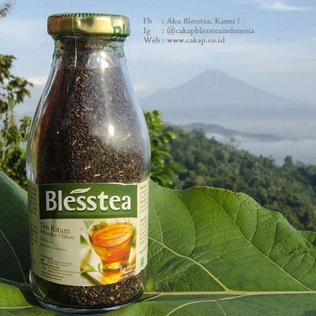 

Teh Hitam Blesstea teh hitam dg proses oksidasi smpurna dgn berbagai manfaat