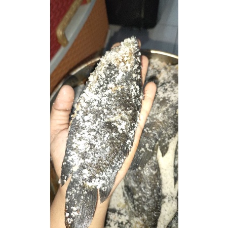 

IKAN ASIN WADI PAPUYU 250gram