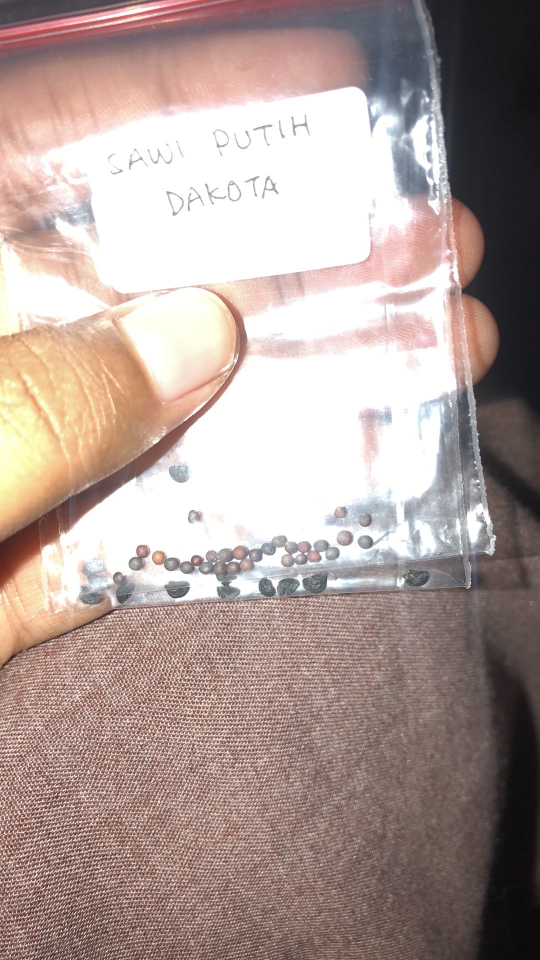 Polybag / Polibek 25 X 25 Cm [lihat Ukuran Di Foto Kedua & Ketiga)]