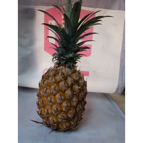 

NANAS BLITAR