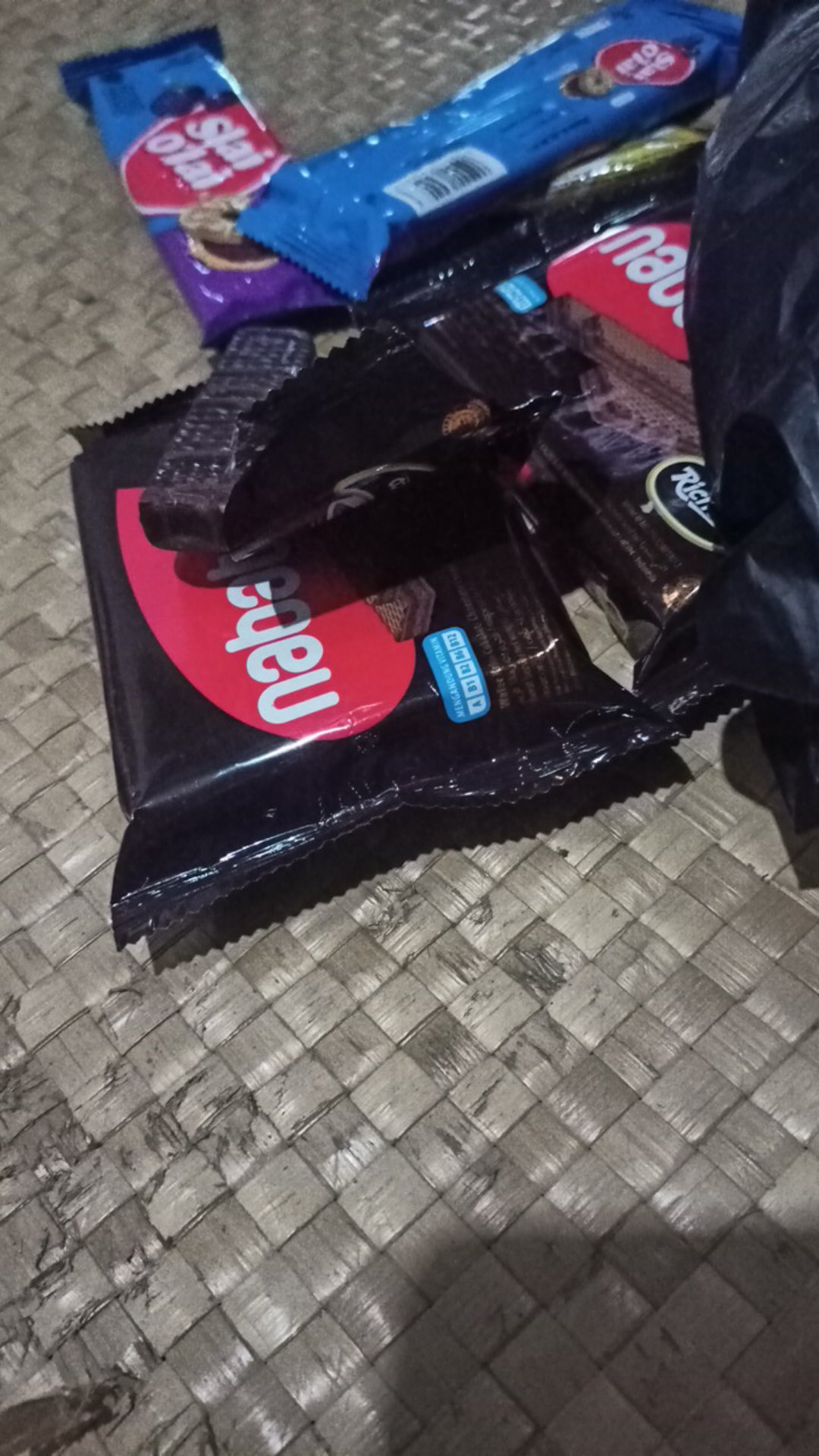 Benih Biji Anggrek Ekor Tupai