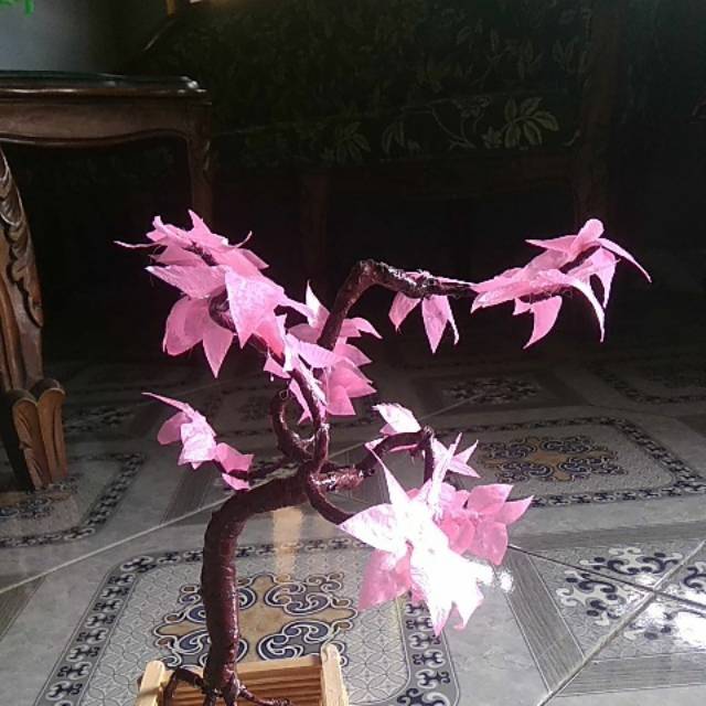 Ornamen bonsai sakura