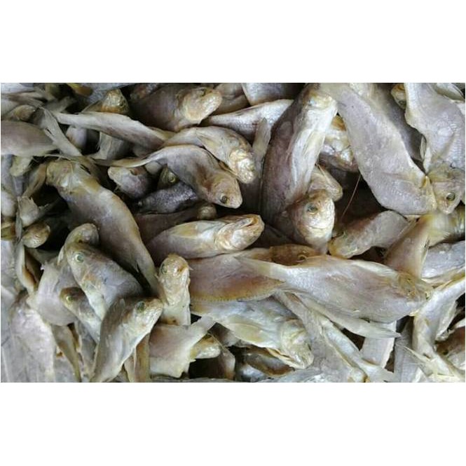 

Ikan Asin Kepala Batu / Gulama ( @ 1.000 Gr )