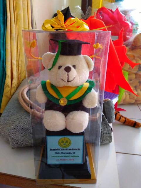 PIALA BONEKA WISUDA TEDDY BEAR 25CM PACKING KOTAK MIKA