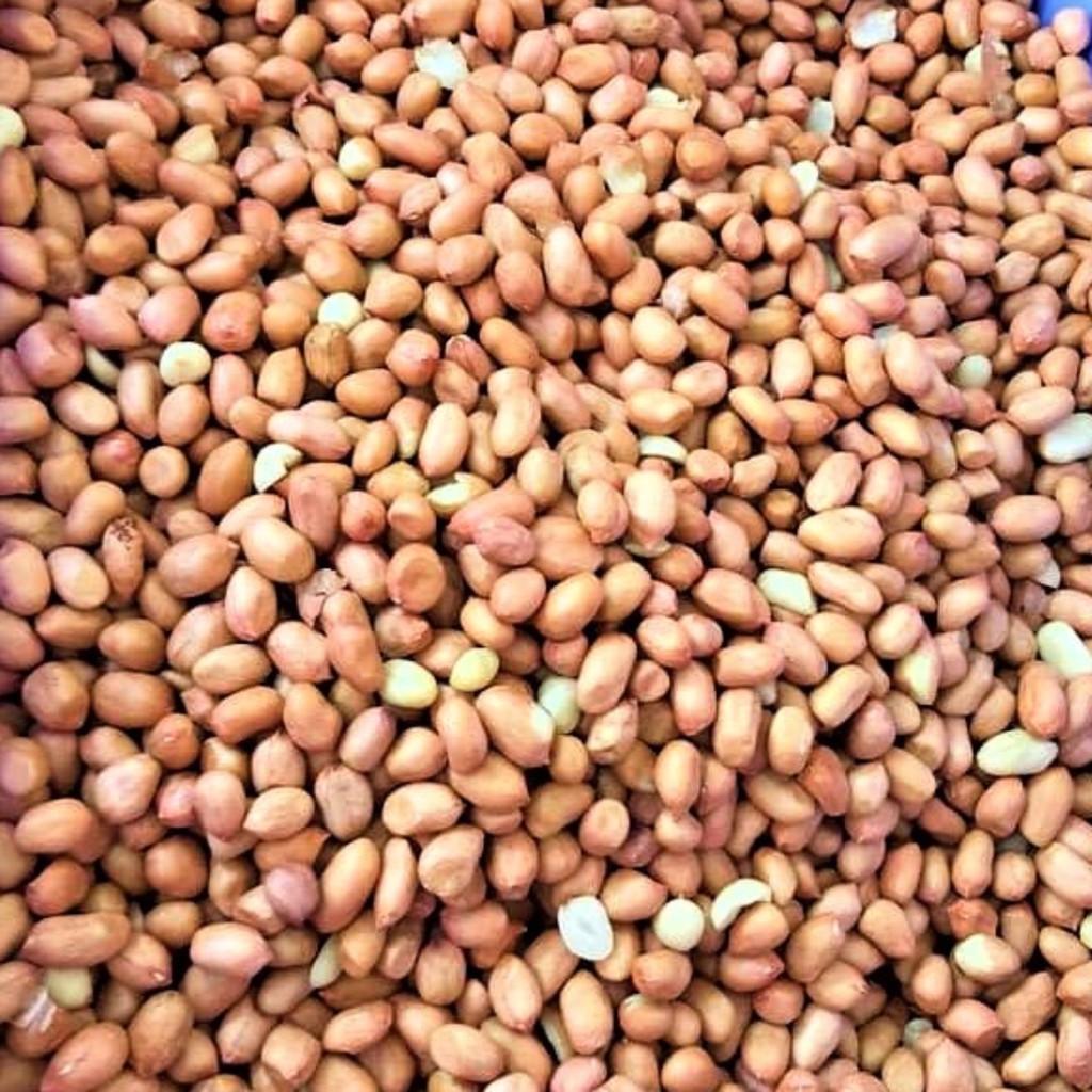 

kacang tanah 1KG