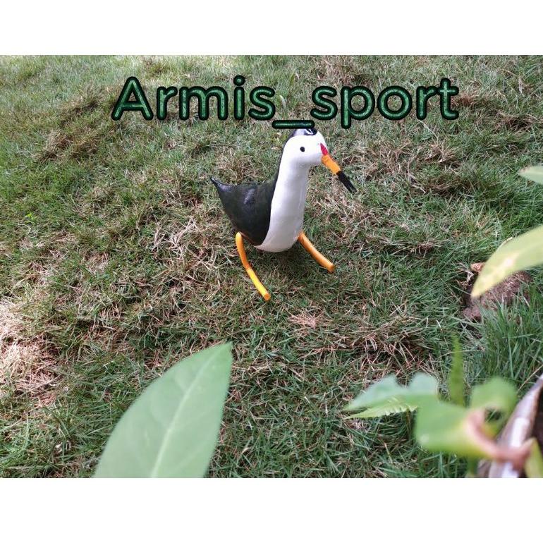 LMG.907171 ‑ Jontrot ruak ruak-burung kareo-burung sawah