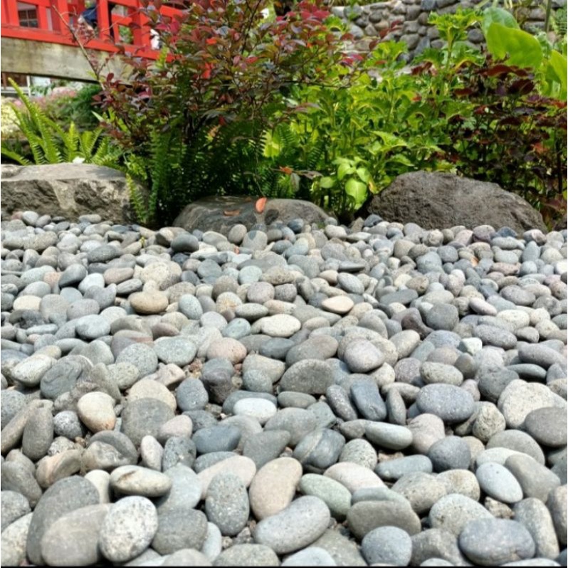 batu coral hitam 1 kg, batu taman hitam, batu aquarium