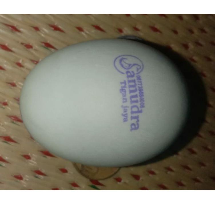 

Sangat Nyaman.. Stempel Telur Asin