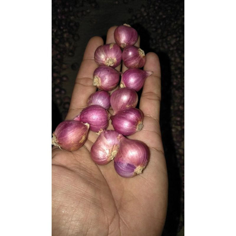 

bawangmerah