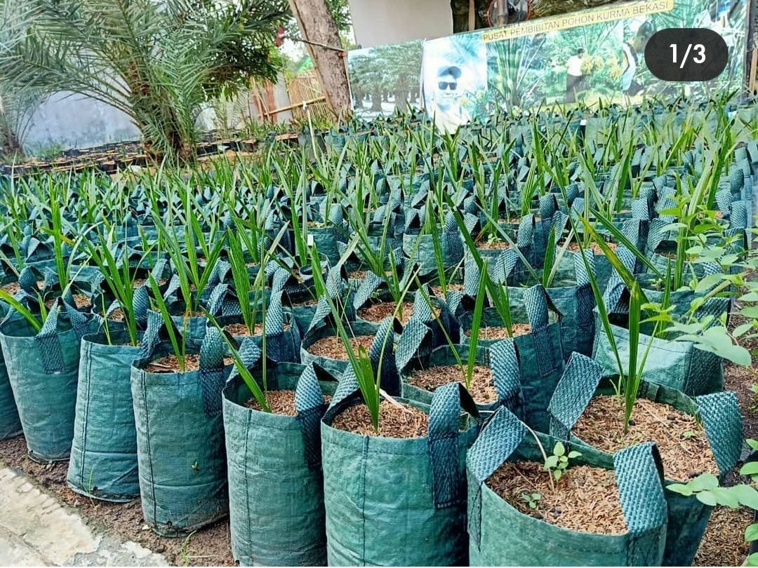 Planter Bag Easy Grow 150 Liter - Hijau