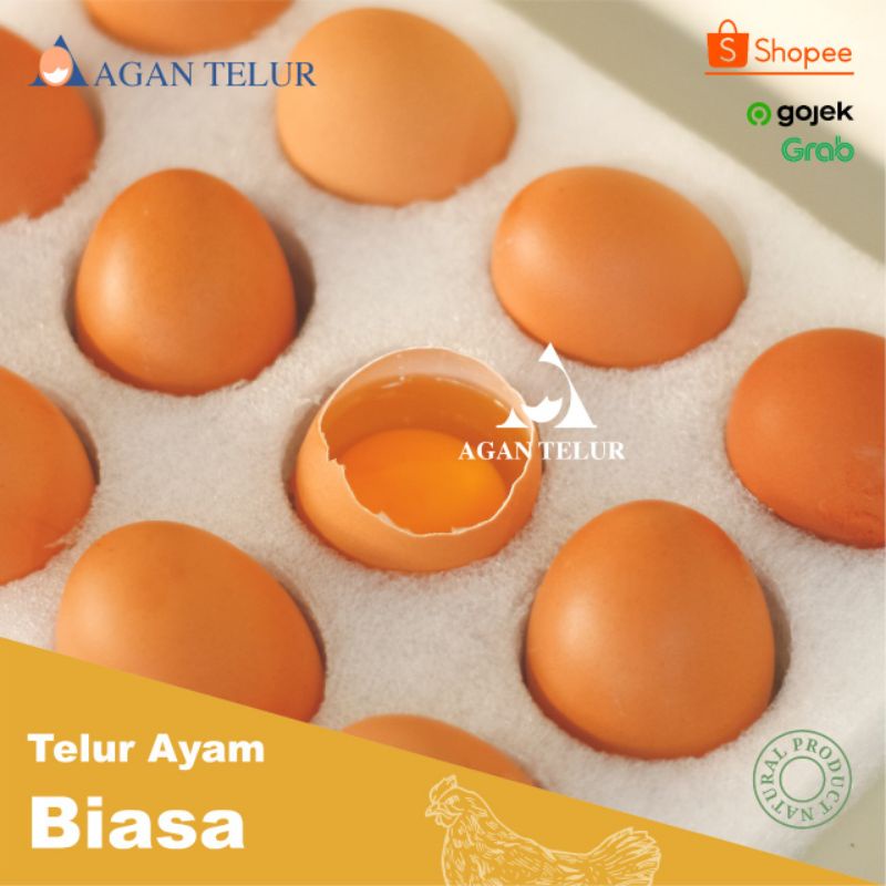 TELUR AYAM NEGERI FRESH DAN TERMURAH PER KG (15-16 btr)