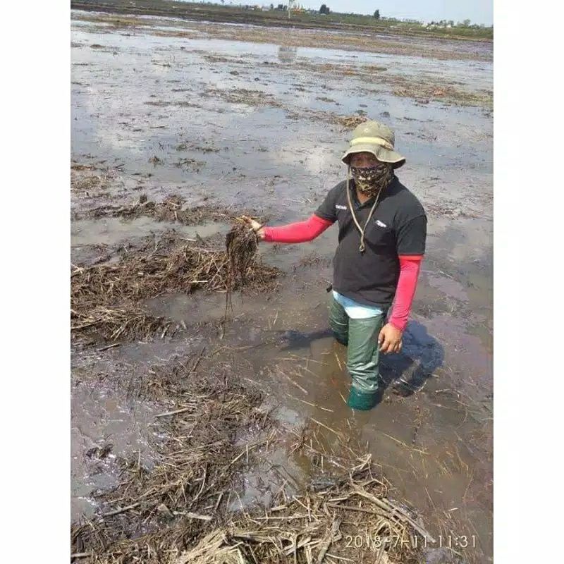 SEPATU BOOTS BOOT BUT PRIA WANITA DEWASA KARET SAWAH PETANI MANCING LADANG RAWA KEBUN PASAR MANCING CUCI MOBIL ANTI AIR BANJIR PANJANG IMPORT 80CM BUKAN AP ANTI SLIP