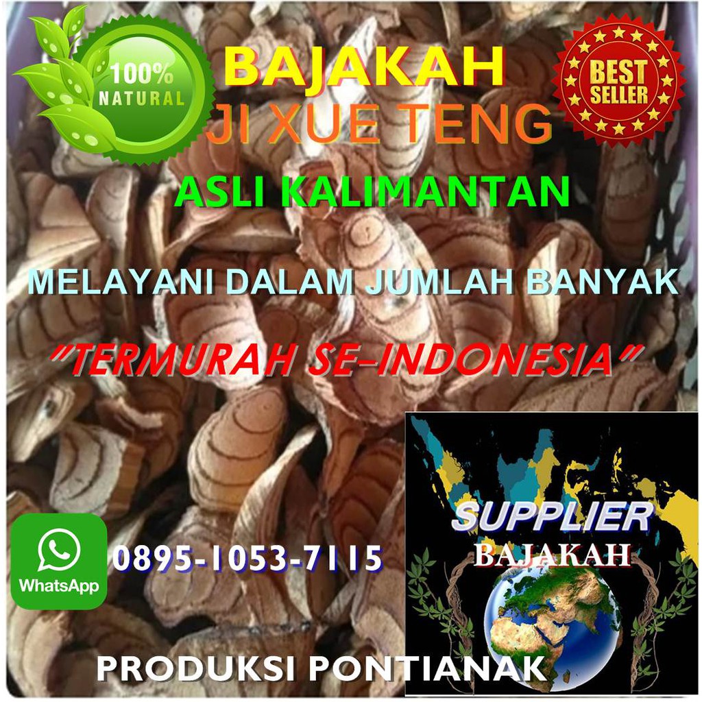 

BAJAKAH JI XUE TENG ASLI KALIMANTAN MINIMAL PESAN 10KG -100KG TERMURAH