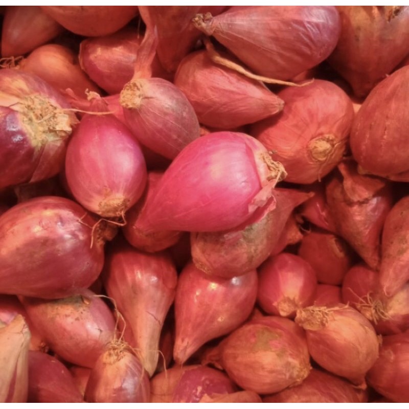 

Bawang Merah kering besar/campur per 1 Kg harga reseller