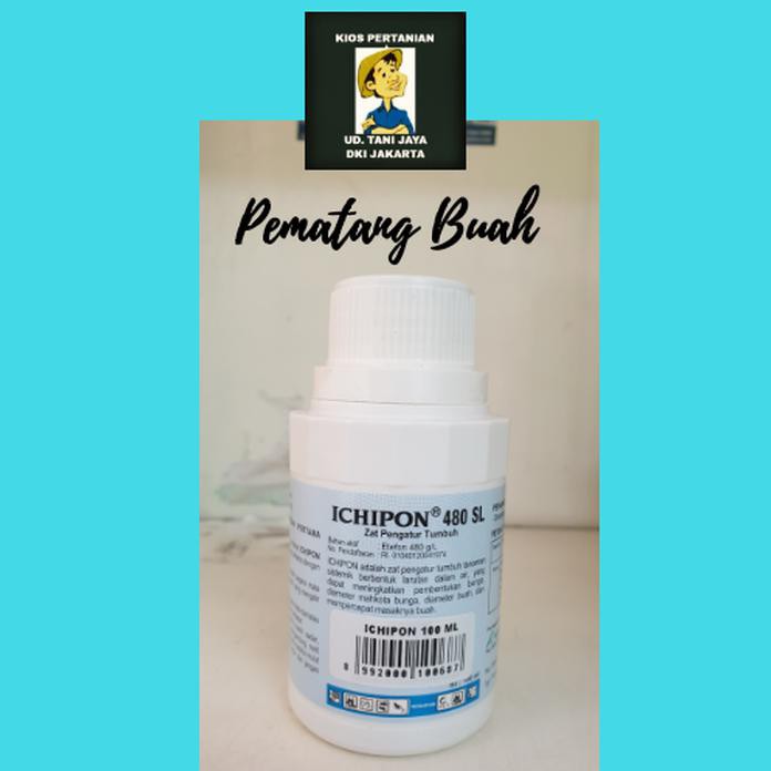 

ICHIPON 100ML PEMATANG PISANG TERLENGKAP