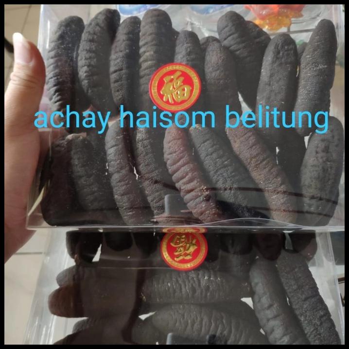 

Haisom Teripang Belitung 30Ekor/Kg