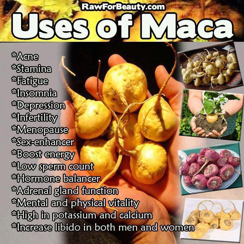 MACA TEA : TEH HERBAL MACA ISI 30 TEA BAG