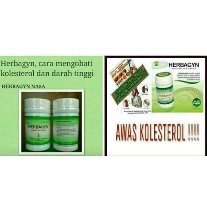Herbagyn/Mengobati Kolesterol Obat Herbal Alami Nasa